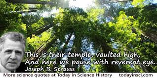 Tree Quotes - 97 quotes on Tree Science Quotes - Dictionary of ... via Relatably.com