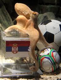 Image result for german octopus predicts football final