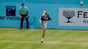 Mannarino Advances, Medvedev Awaits at ‘s-Hertogenbosch Open! - Imagen principal del artículo
