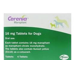 Cerenia for dogsの画像