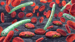  Researchers develop portable malaria screening instrument