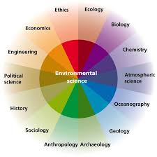 Image result for environmental science