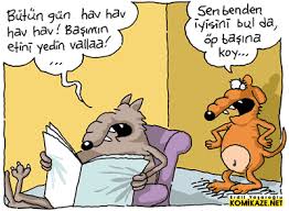 Erdil Yaşaroğlu ile ilgili görsel sonucu