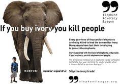 Taking a stand against animal cruelty (quotes, campaigns) on ... via Relatably.com
