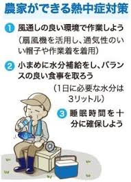 日本農業新聞 - News update