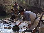 Gold Fever - , the free encyclopedia