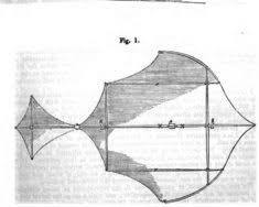 Image of Sir George Cayley's glider