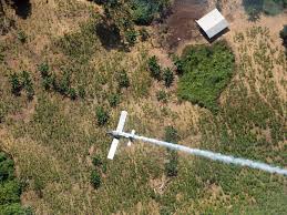 Colombian lawmaker among 15 missing in plane disappearance