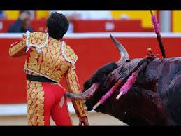 Image result for Most Awesome Bull Fighting Festival #6