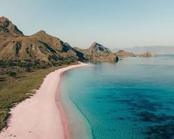 صورة منتزه أوبون الوطني في إندونيسيا