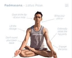 Image of Padmasana (Lotus Pose)