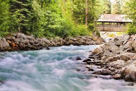 Image result for sungai