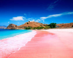 Image of Pantai Pink, Pulau Komodo