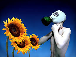 Image result for lifetime studies gmo