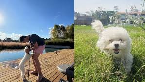 Dolor en Uruguay: Perro de Federico Buysan Muere Tras Ataque