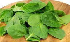 Image result for spinach