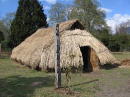 Résultat de recherche d'images pour "los mapuches"