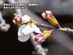 News source: ウェザーニュース