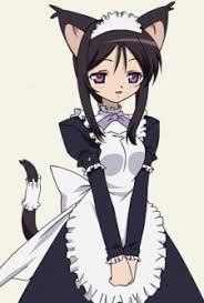 Bildergebnis für macademi wasshoi