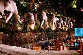 Image result for rainforest cafe texas