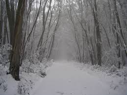 Picture of Lake Mountain