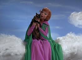 Image result for Endora, Bewitched