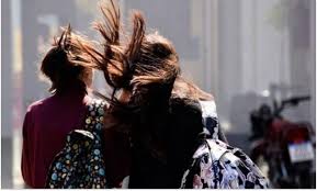 Alerta Amarilla por Vientos Zonda: NOA en Máxima Precaución - Imagen principal del artículo