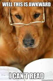 Sophisticated Golden Retriever memes | quickmeme via Relatably.com