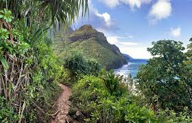 Kauai Now - News update
