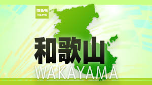 MBS 毎日放送 - News update
