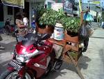 cbr sayur