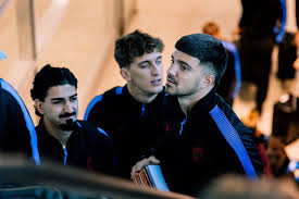 fc viktoria plzeň