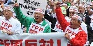 Image result for anti-tpp rally