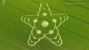 Jack's Plantation, Wilts | 8th May 2026 - Temporary Temples