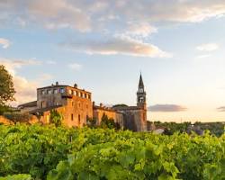 Immagine di winery in Abruzzo