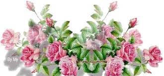 images?q=tbn:ANd9GcTiaqyCKTN7BXyDdfxe7HO