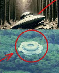 Helicopter Captures UFO Hovering Over Forest, Leaving Everyone Confused.Thai.....Read more