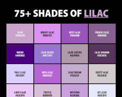 Image of Lilac color