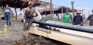 Reportan contaminación de combustible en playas de Pajapan, Veracruz