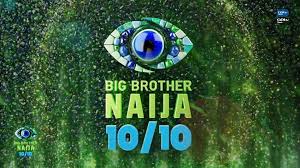 BBNaija 2025 is HOT! How to Vote & Keep Your Fave Housemate In!