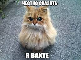 Картинки по запросу ты просто космос