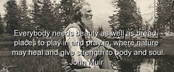 John Muir quote - Current Inspiration via Relatably.com