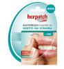 Herpatch upotreba