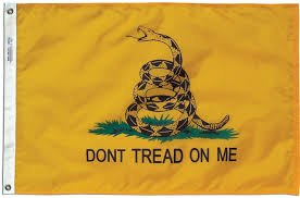 Image result for gadsden flag