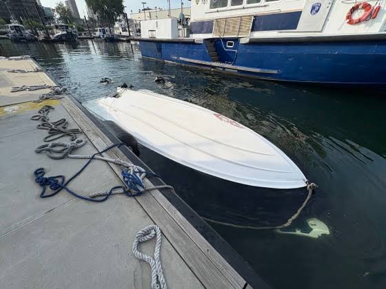U.S. will seek to deport captain of boat that capsized in New York, killing mom and baby; Hernandez faces charges of misconduct and neglect