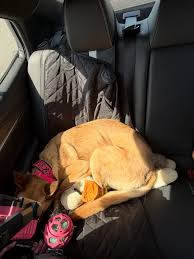 A girl & her baby doggie 🫶🏼 Happy National Pet Day my love ...