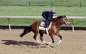 Resultado de imagen de 2017 kentucky derby hours ago