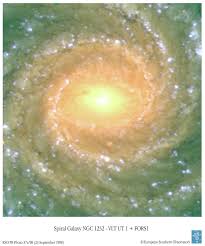 Image result for NGC 1232