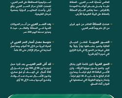 Image of النمر العربي في السعودية