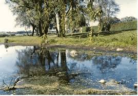 Image result for AGRI PROBLEM PHOTO